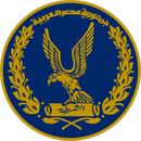 Mansoura Police Club