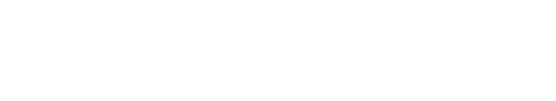 Expert Smart